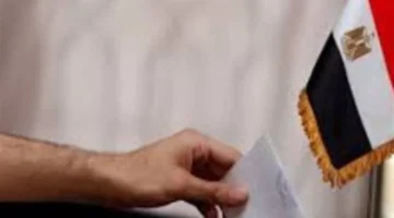 ماراثون انتخابي.. التفاصيل الكاملة حول تصويت المصريين في الخارج لنواب 2025